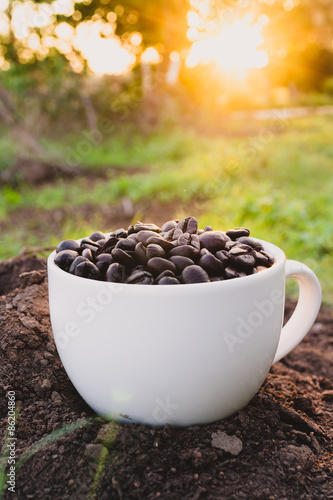 Fotoroleta natura cappucino wzór jedzenie kawa