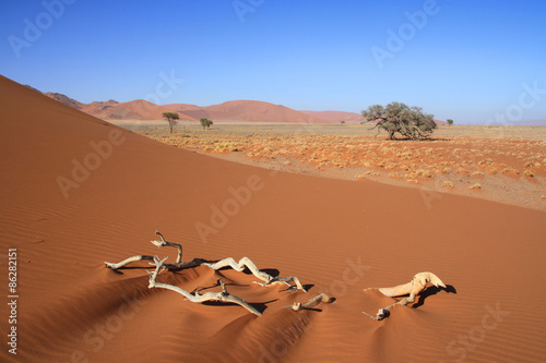 Naklejka pustynia wydma piasek namibia