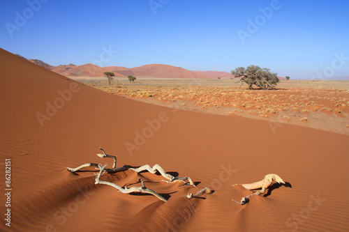 Plakat pustynia wydma piasek namibia