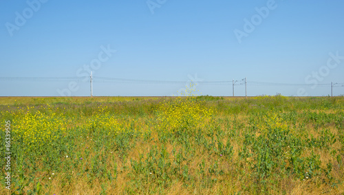 Naklejka panorama perspektywa pejzaż