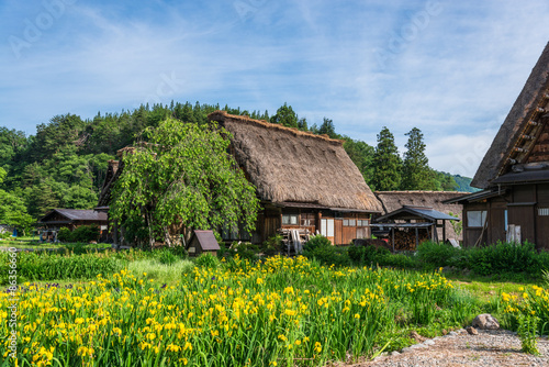 Naklejka architektura japonia krajobraz wieś światowa spuścizna