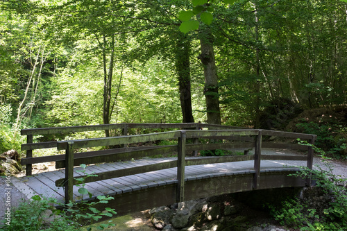 Naklejka las most jogging sport zdrowie