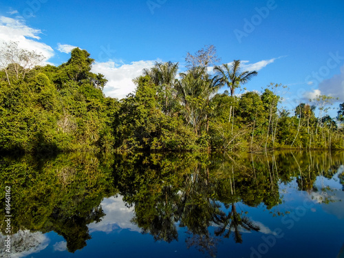 Plakat woda las brazylia