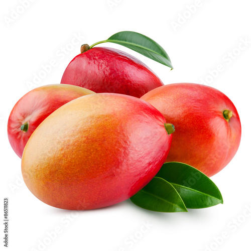 Plakat mango