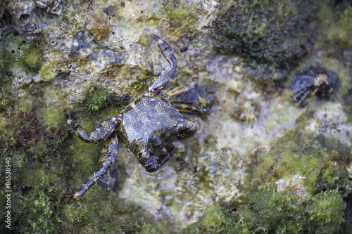 Fototapeta natura morze woda