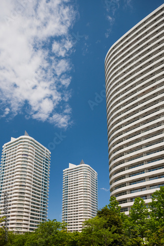 Plakat architektura park krajobraz błękitne niebo japonia