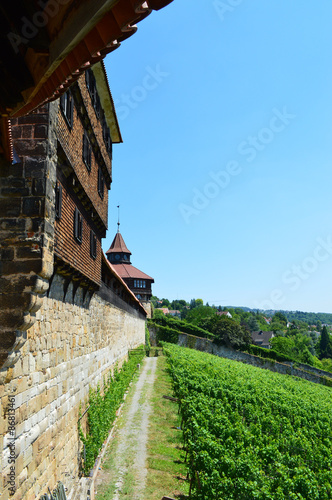 Naklejka panorama wieża zamek kościół