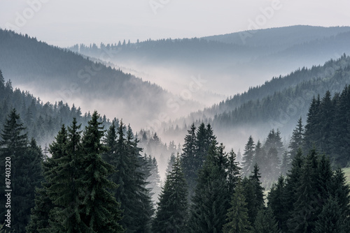 Obraz na płótnie piękny fala wzgórze krajobraz las