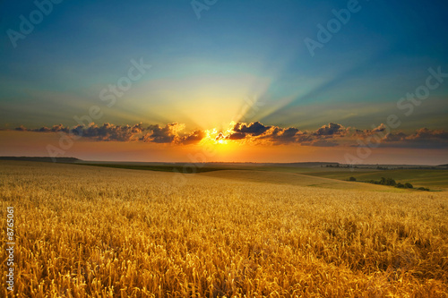 Naklejka natura lato pejzaż