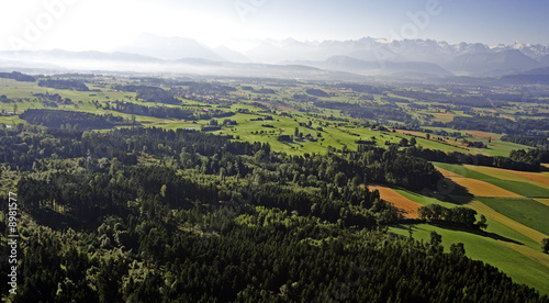 Fotoroleta krajobraz jodła szwajcaria las