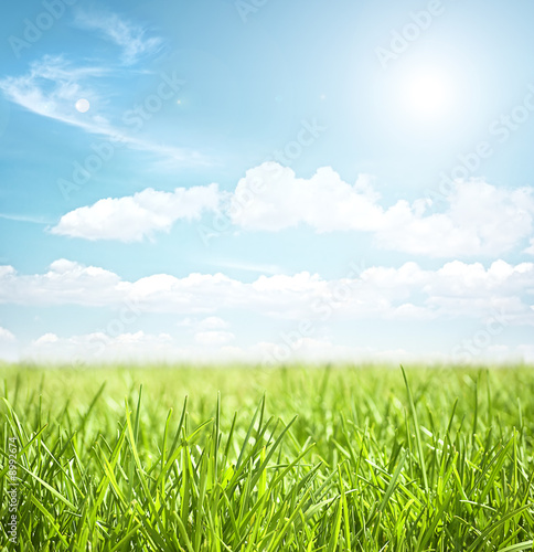 Plakat świeży rolnictwo witalność słońce łąka
