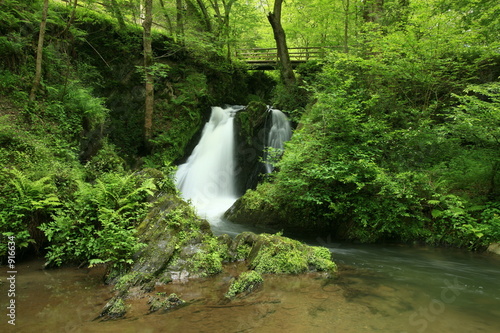 Naklejka eifel most las drzewa wodospad